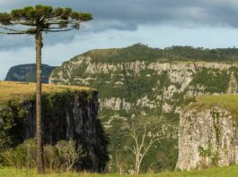 Processo Seletivo Prefeitura de Bom Jardim da Serra - SC, 5 vagas