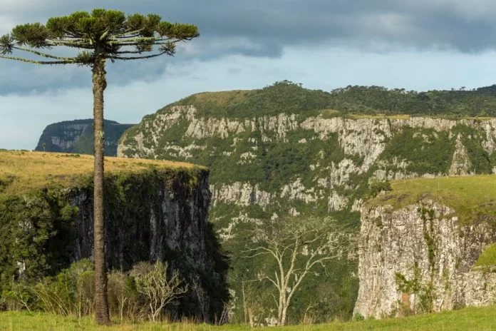 Processo Seletivo Prefeitura de Bom Jardim da Serra - SC, 5 vagas