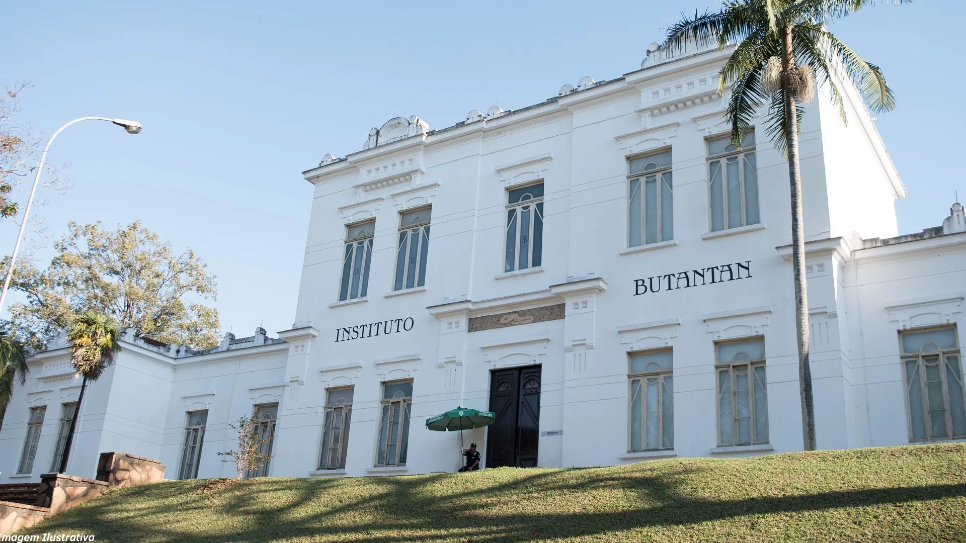 Instituto Butantan 1 - Instituto Butantan realiza Processo Seletivo com 59 vagas para estagiários