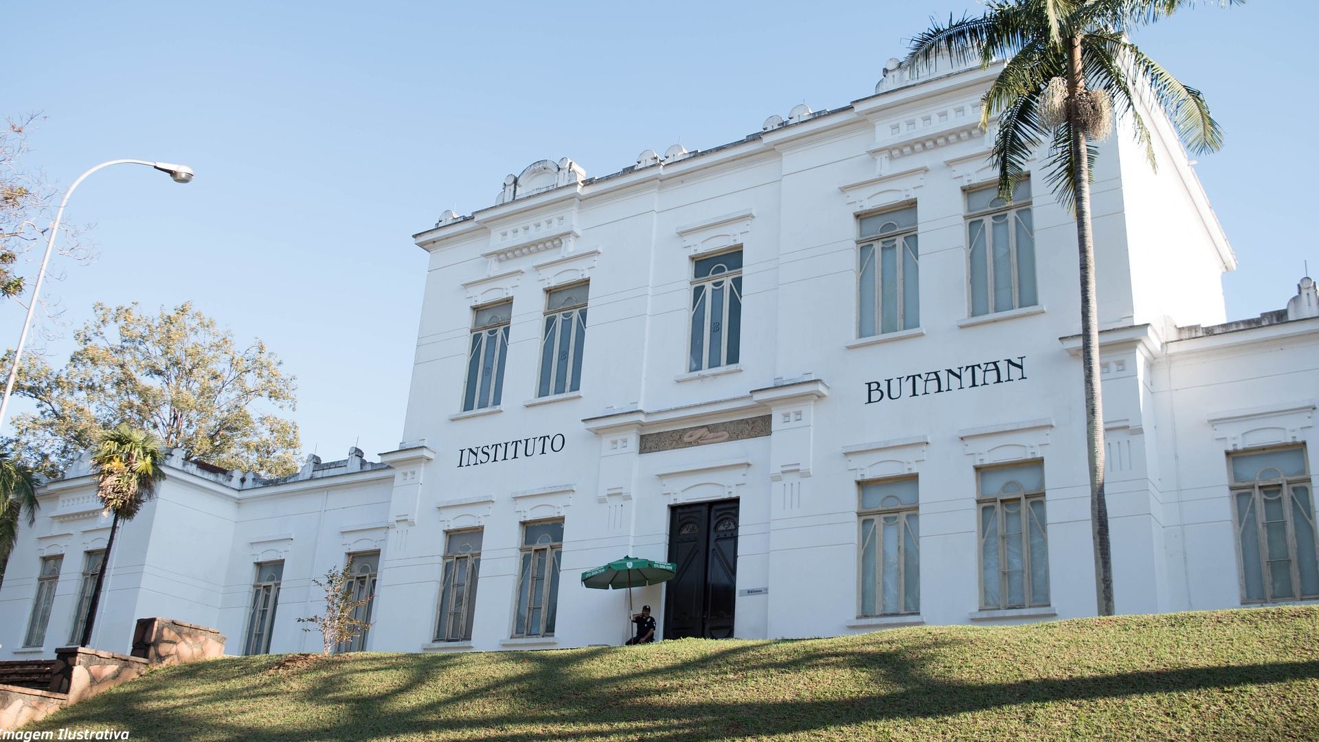 Instituto Butantan