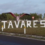 Tavares