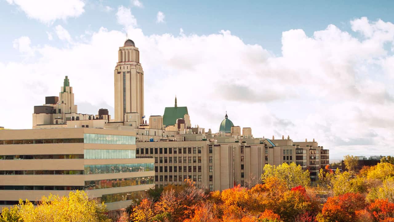 Universidade de Montreal oferece bolsas para brasileiros