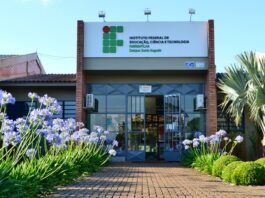 Entrada de um prédio com placa que diz “Instituto Federal de Educação, Ciência e Tecnologia Farroupilha Campus Santo Ângelo”. O caminho que leva às portas, onde os candidatos aguardam ansiosamente as informações sobre as 21 vagas do concurso público, é ladeado por flores roxas e muito verde.