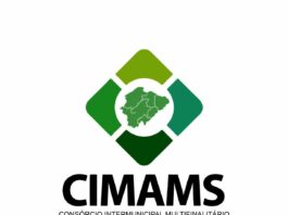 CIMAMS