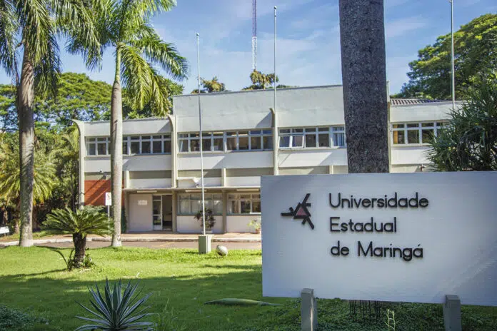 Universidade Estadual de Maringá (UEM)