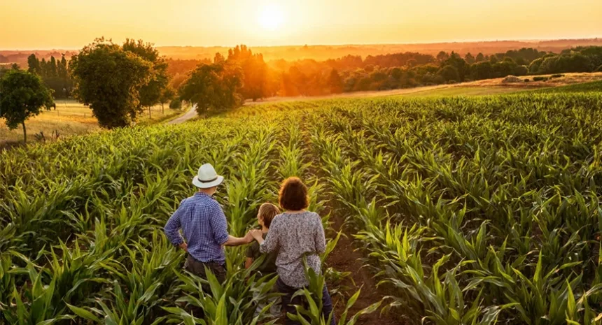 Concurso Agricultura SC: Edital Autorizado para 100 Vagas