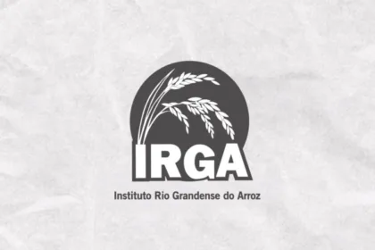 IRGA - RS Anuncia Processo Seletivo com 22 Vagas para Nível Superior