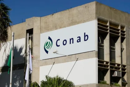 Concurso Conab 2025: Como se Preparar para as Provas Previstas para Julho