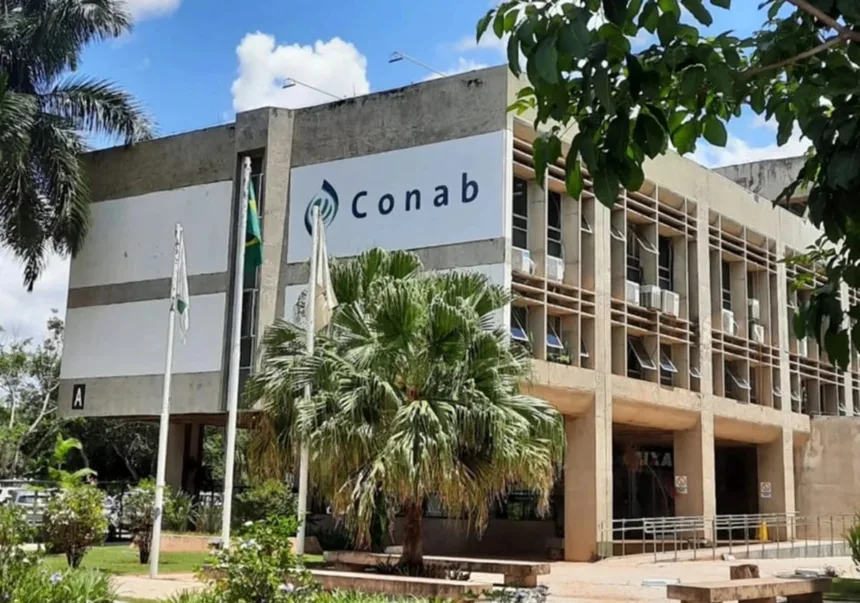 Concurso Conab: confira a distribuição de vagas por estado!